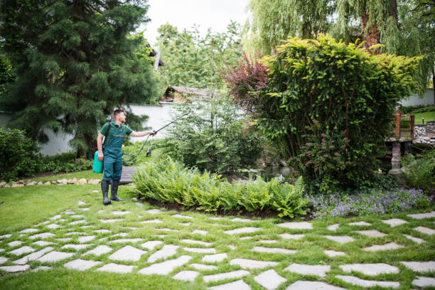 Best Pest Control Treatment  in Punaluu, HI
