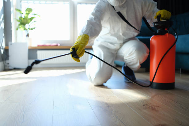 Flea Control Services in Punaluu, HI