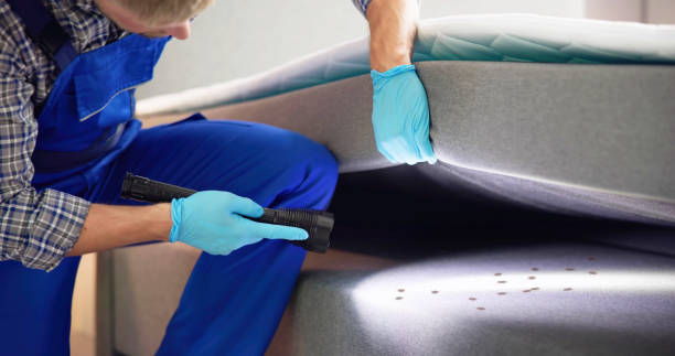 Best Exterminator Services  in Punaluu, HI