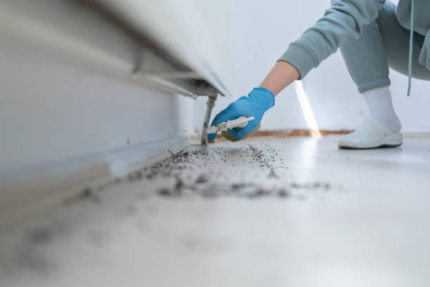 Best Wildlife Control Services  in Punaluu, HI